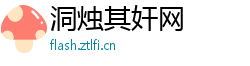 洞烛其奸网